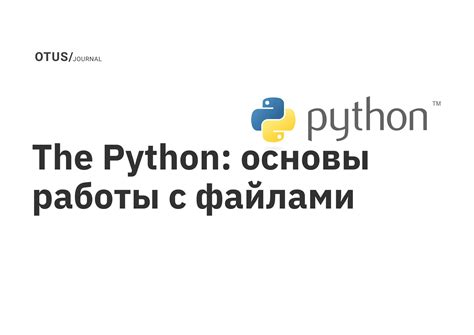 Основы работы с объектами в Python