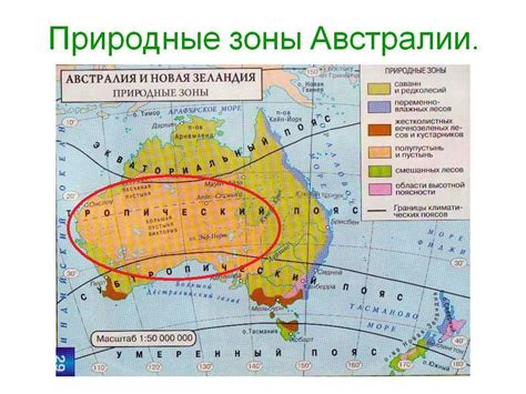 Особенности австралийской природы