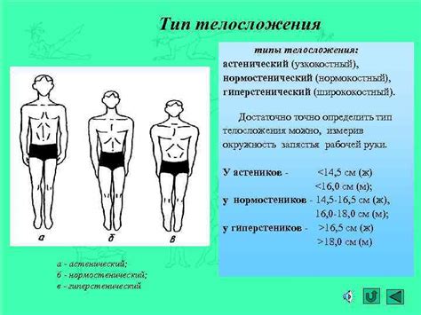 Особенности астенического типа телосложения у детей