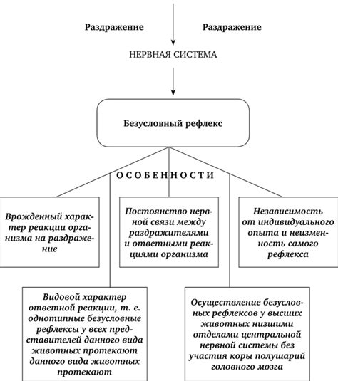 Особенности безусловных рефлексов