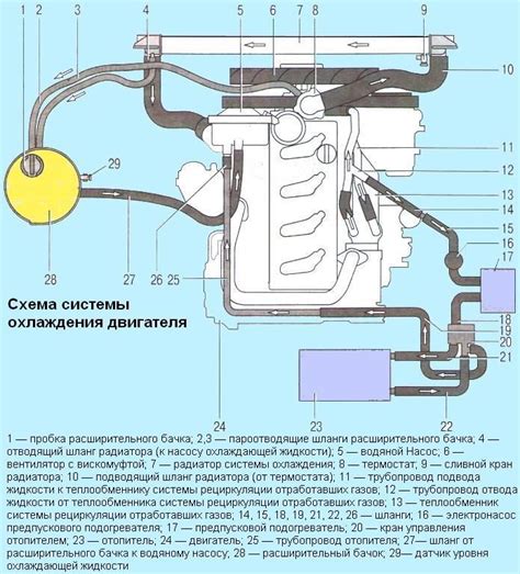 Особенности бензинового двигателя автомобиля Газель Некст