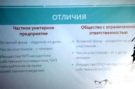 Особенности ведения бизнеса в ЧУП и ООО