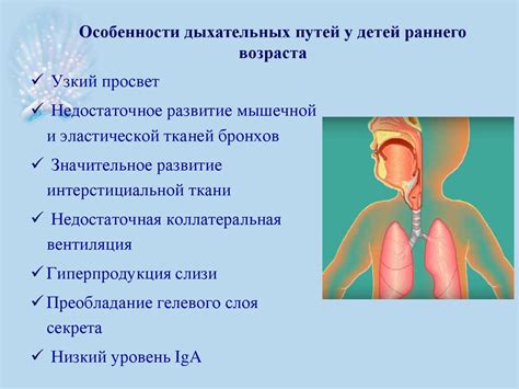 Особенности дыхательной системы у детей