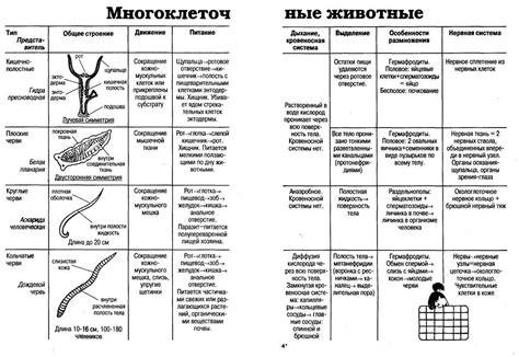 Особенности использования различных видов терок