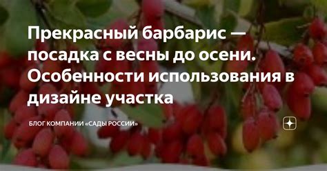 Особенности использования участка