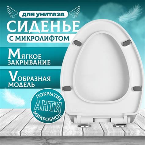 Особенности сиденья унитаза с микролифтом