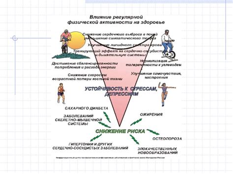 Особенности физической активности в романе