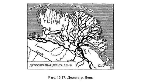 Особенности формирования дельт рек