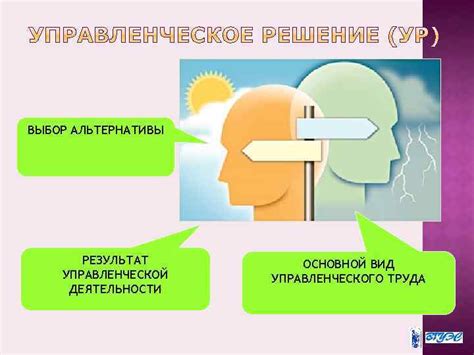 Осознанное и этичное выбор: альтернативы торфу