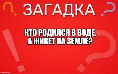 Откуда родилась загадка