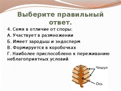 Отличие в размножении и способе жизнедеятельности