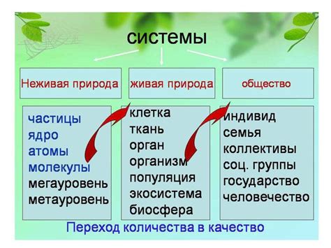 Отличия в структуре живых и неживых объектов