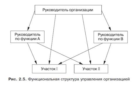 Отличия в структуре и функциональности