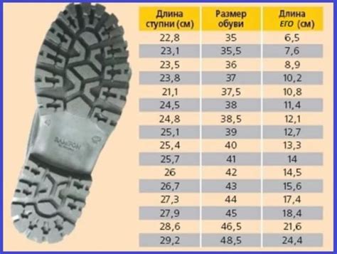 Отличия женского и мужского размера обуви