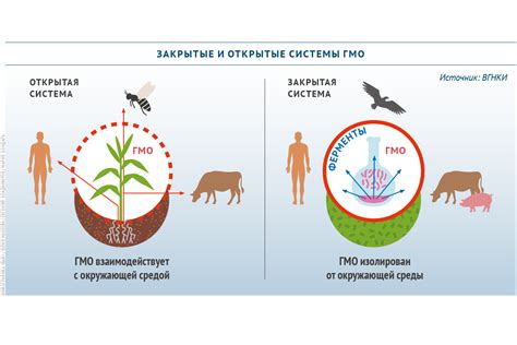 Отличия открытых и закрытых систем в биологии
