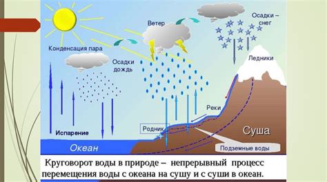 Отличия относительной влажности воздуха и абсолютной