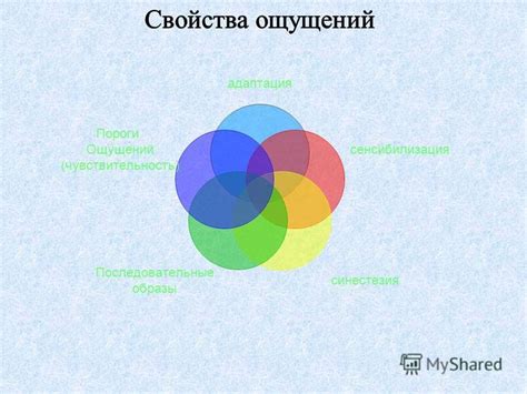 Отображение реальности без искажений