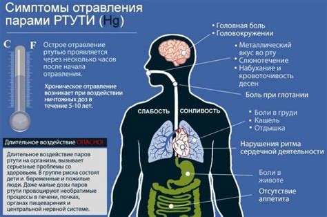 Отравление ртутью и его симптомы