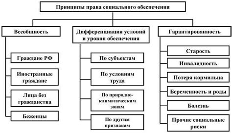 Отраслевые принципы: особенности и важность