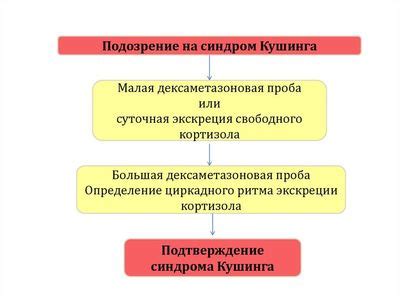 Отрицательная интерпретация