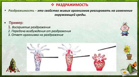 Отрицательный таксис в биологии: определение