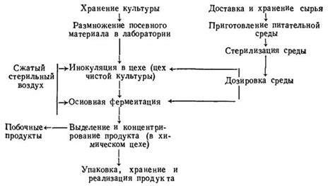 Отсутствие питательной среды