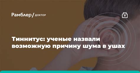 Оцените ситуацию и установите причину шума