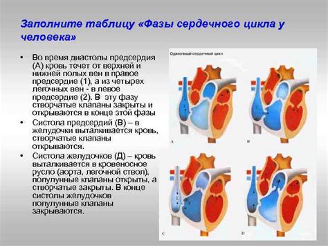 Оценка сердечной активности