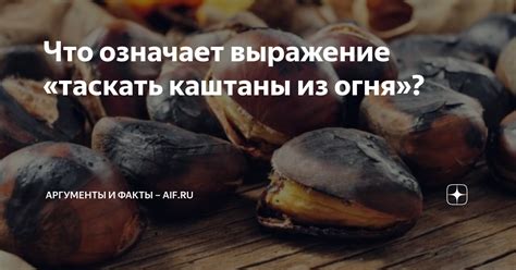 О фразе "таскать каштаны из огня"