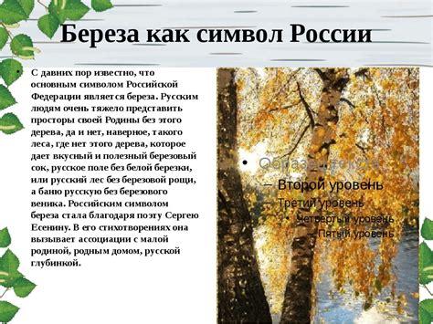 О чем рассказывает текст "Вспоминание о березе" в учебнике 4 класса