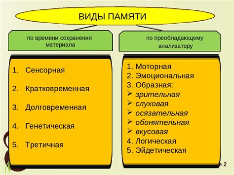 Память: виды и механизмы