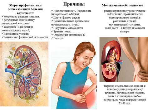 Патологические изменения в почках и мочевом пузыре