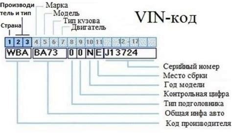 Первые буквы вин кода: как они влияют на историю автомобиля