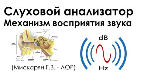 Передача и анализ звуковых сигналов