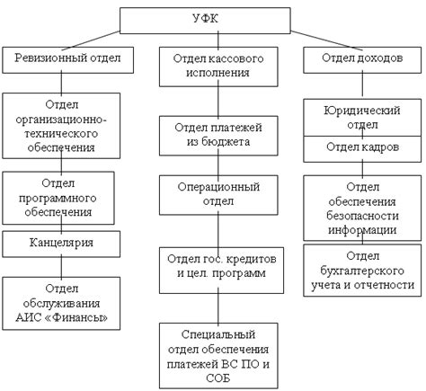 Перспективы развития казначейства в России и за рубежом