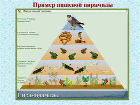 Питание и развитие потомства