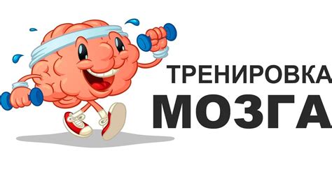 Питание и тренировка мозга: ключевые факторы