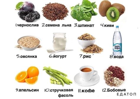 Питательные продукты, способствующие восстановлению микрофлоры