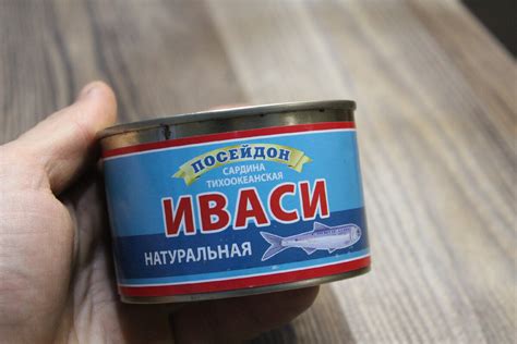 Пицца с иваси в банке