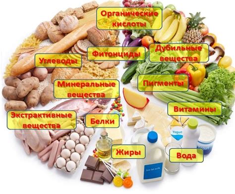 Пищевая ценность продуктов