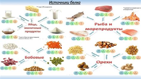 Пищевой источник протеинов и белков