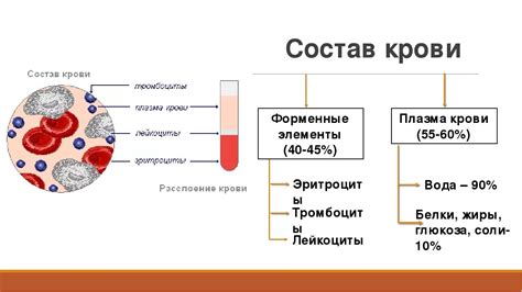 Плотность и консистенция плазмы и крови