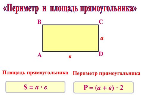 Площадь и периметр прямоугольника: основные правила