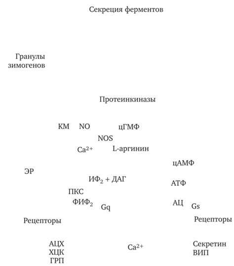 Побочные эффекты при внутреннем применении глицерина