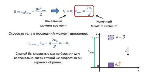 Поведение под воздействием силы