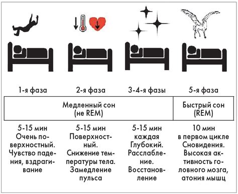 Поведенческие признаки глубокого сна