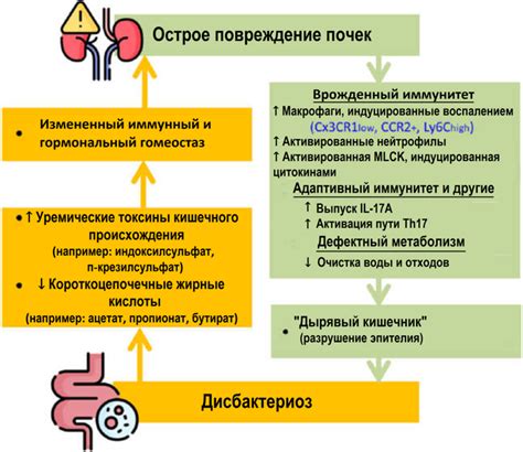 Повреждение кишечника