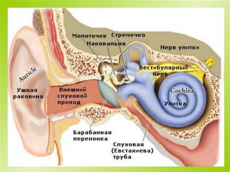 Повреждение уха в результате травмы