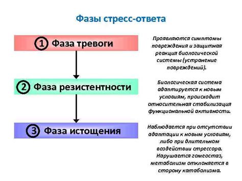 Повреждения и стресс