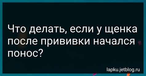 Повышение температуры у щенка после прививки: что делать?